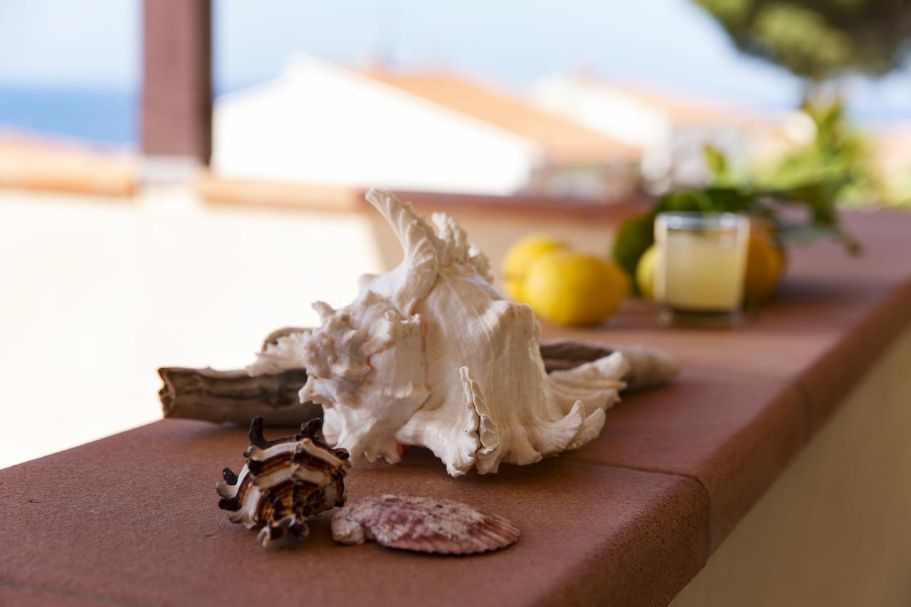 Corallo Hotel Pomonte