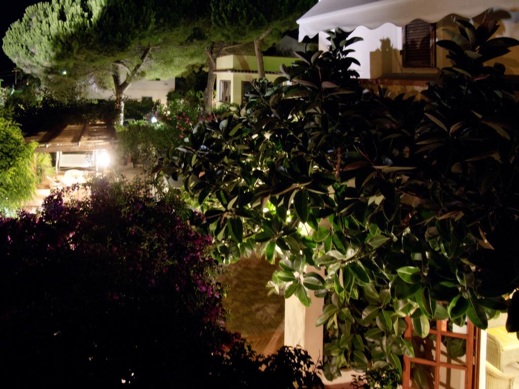 Corallo Hotel Pomonte